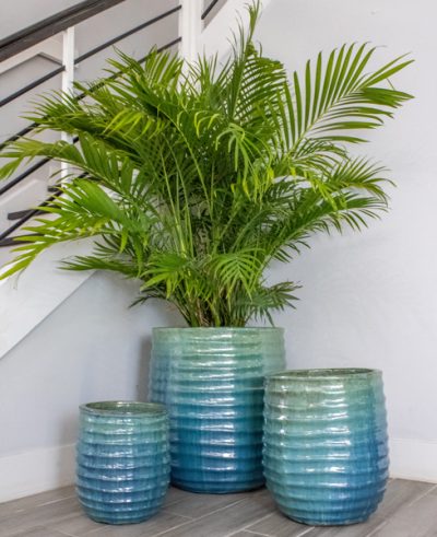 Driftwood Ceramic Planters Collection