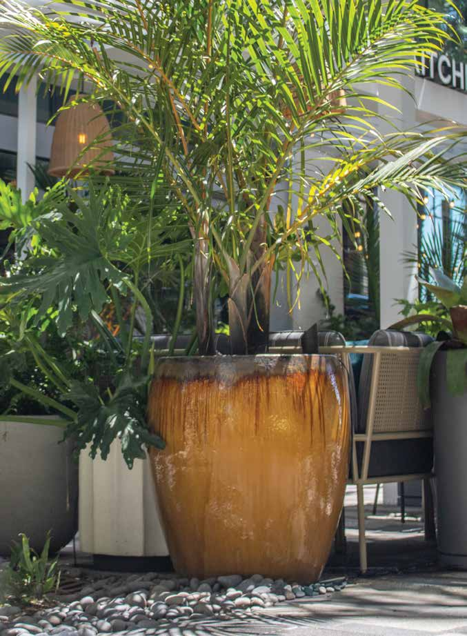 Tall Belly Planter