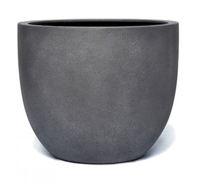VP1208-lead-400x372